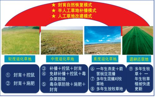 西北內(nèi)陸區(qū)極端環(huán)境生態(tài)系統(tǒng)修復理論與技術成果推介