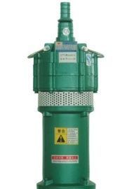 潛水泵葉輪系列詳解 雙葉、三葉、四葉設計及其行業(yè)應用